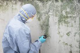 Mold Remediation for Vacation Homes in Priest River, ID